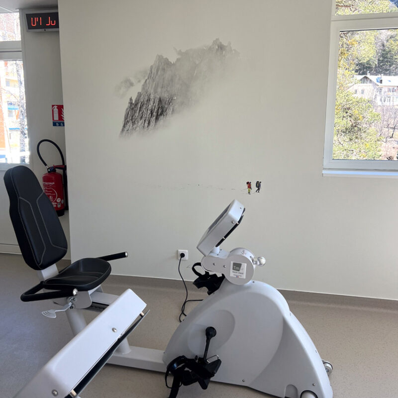 Impression murale – Fondation Edith Seltzer