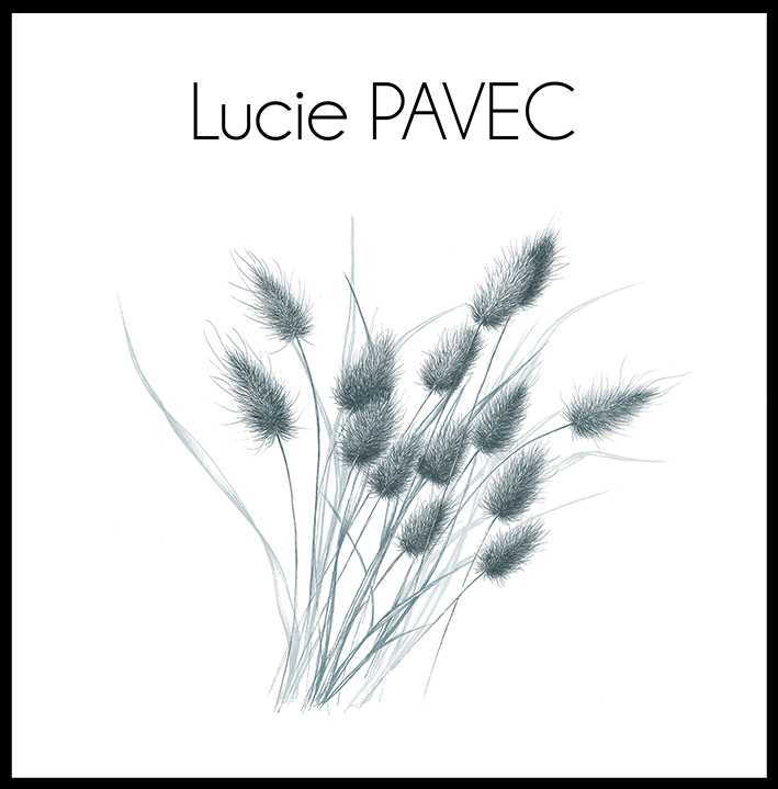 Collaboration Lucie Pavec